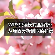 WPS只读模式全解析:从原因分析到取消和设置方法(图1) WPS只读模式全解析:从原因分析到取消和设置方法(图1)