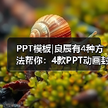 PPT模板|良辰有4种方法帮你：4款PPT动画封面（图4）