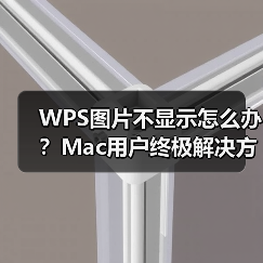 WPS图片不显示怎么办?Mac用户终极解决方案(图2) WPS图片不显示怎么办?Mac用户终极解决方案(图2)