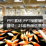 PPT素材|PPT模板制作捷径:25套热辣信息图表(图1) PPT素材|PPT模板制作捷径:25套热辣信息图表(图1)