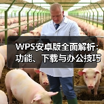 WPS安卓版全面解析：功能、下载与办公技巧（图4）