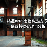 精通WPS表格筛选技巧：高效数据处理与分析方法（图2）