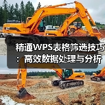 精通WPS表格筛选技巧：高效数据处理与分析方法（图3）