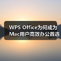 WPS Office为何成为Mac用户高效办公首选?(图4) WPS Office为何成为Mac用户高效办公首选?(图4)