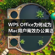 WPS Office为何成为Mac用户高效办公首选?(图2) WPS Office为何成为Mac用户高效办公首选?(图2)