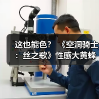 这也能色？ 《空洞骑士：丝之歌》性感大黄蜂手办发布（图4）