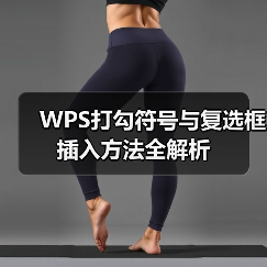 WPS打勾符号与复选框插入方法全解析（图1）