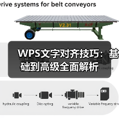 WPS文字对齐技巧：基础到高级全面解析（图4）