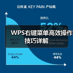 WPS右键菜单高效操作技巧详解（图2）