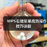 WPS右键菜单高效操作技巧详解（图4）