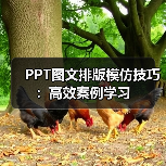 PPT图文排版模仿技巧:高效案例学习(图4) PPT图文排版模仿技巧:高效案例学习(图4)