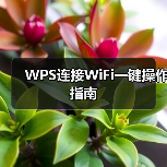WPS连接WiFi一键操作指南(图3) WPS连接WiFi一键操作指南(图3)