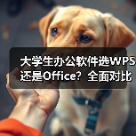 大学生办公软件选WPS还是Office?全面对比指南(图2) 大学生办公软件选WPS还是Office?全面对比指南(图2)