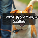 WPS广告永久关闭方法全面指南(图3) WPS广告永久关闭方法全面指南(图3)