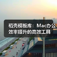 稻壳模板库:Mac办公效率提升的高效工具(图4) 稻壳模板库:Mac办公效率提升的高效工具(图4)
