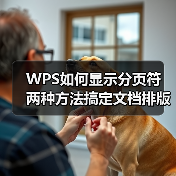 WPS如何显示分页符 两种方法搞定文档排版(图1) WPS如何显示分页符 两种方法搞定文档排版(图1)