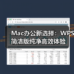 Mac办公新选择:WPS简洁版纯净高效体验(图4) Mac办公新选择:WPS简洁版纯净高效体验(图4)