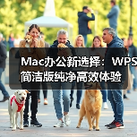 Mac办公新选择:WPS简洁版纯净高效体验(图1) Mac办公新选择:WPS简洁版纯净高效体验(图1)