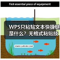 WPS只粘贴文本快捷键是什么？无格式粘贴技巧大全（图3）