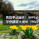 告别手动操作！WPS必学快捷键大揭秘（Mac/Windows通用）（图4）