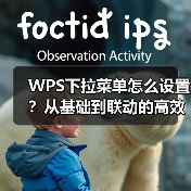 WPS下拉菜单怎么设置？从基础到联动的高效技巧（图3）