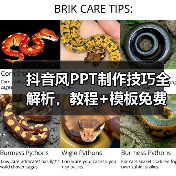 抖音风PPT制作技巧全解析，教程+模板免费下载（图1）