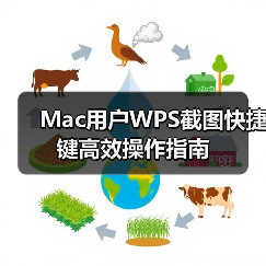 Mac用户WPS截图快捷键高效操作指南(图3) Mac用户WPS截图快捷键高效操作指南(图3)