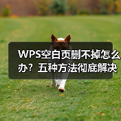 WPS空白页删不掉怎么办?五种方法彻底解决多余页面问题(图3) WPS空白页删不掉怎么办?五种方法彻底解决多余页面问题(图3)