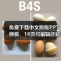 免费下载中文排版PPT模板，18页可编辑还能耍骚气？（图2）