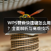WPS替换快捷键怎么用?全面解析与高级技巧(图2) WPS替换快捷键怎么用?全面解析与高级技巧(图2)