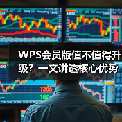 WPS会员版值不值得升级?一文讲透核心优势与适用人群(图4) WPS会员版值不值得升级?一文讲透核心优势与适用人群(图4)