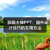 拆解大神PPT：提升设计技巧的实用方法（图4）