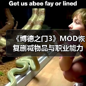 《博德之门3》MOD恢复删减物品与职业能力(图4) 《博德之门3》MOD恢复删减物品与职业能力(图4)