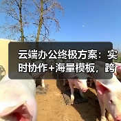 云端办公终极方案:实时协作+海量模板,跨设备无缝同步(图3) 云端办公终极方案:实时协作+海量模板,跨设备无缝同步(图3)