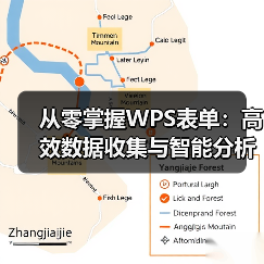 从零掌握WPS表单：高效数据收集与智能分析全攻略（图2）