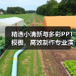精选小清新与多彩PPT模板，高效制作专业演示文稿（图2）