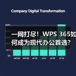 一网打尽!WPS 365如何成为现代办公首选?(图2) 一网打尽!WPS 365如何成为现代办公首选?(图2)