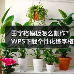 田字格模板怎么制作？WPS下载个性化练字格指南（图3）