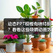 动态PPT模板有啥特别？看看这些吸睛动画效果！（图3）
