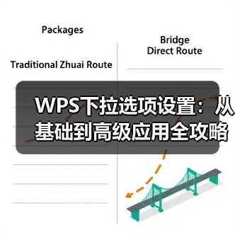 WPS下拉选项设置：从基础到高级应用全攻略（图3）