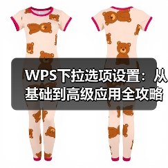 WPS下拉选项设置：从基础到高级应用全攻略（图2）