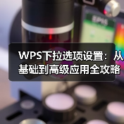 WPS下拉选项设置：从基础到高级应用全攻略（图1）