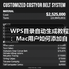 WPS目录自动生成教程：Mac用户如何添加自动目录？（图2）