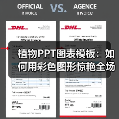 植物PPT图表模板：如何用彩色图形惊艳全场？（图4）