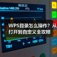 WPS目录怎么操作？从打开到自定义全攻略（图3）