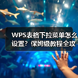 WPS表格下拉菜单怎么设置？保姆级教程全攻略（图2）