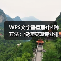 WPS文字垂直居中4种方法：快速实现专业排版技巧（图4）