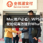 Mac用户必看！WPS群发如何高效提升WhatsApp营销转化率？（图4）