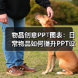 物品创意PPT图表：日常物品如何提升PPT设计？（图4）