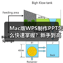 Mac版WPS制作PPT怎么快速掌握？新手到高手全攻略（图3）